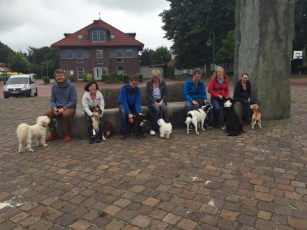 hundefuehrerschein082016