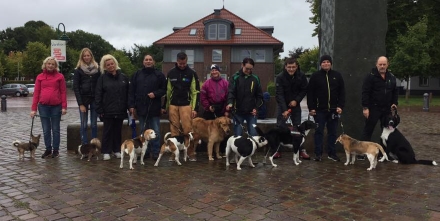 hundefuehrerschein092017