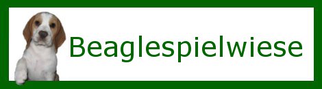 Beaglespielwiese