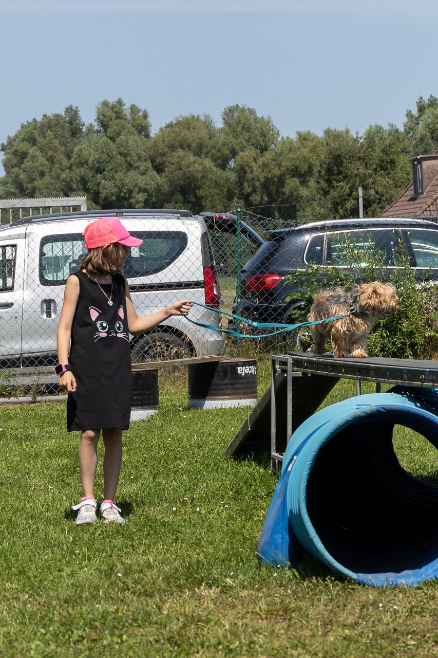 Bild aus 2026 Bild 2026