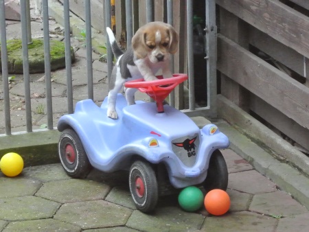 Bobbycar